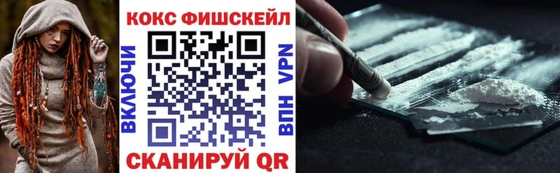 Кокаин FishScale  Ревда 