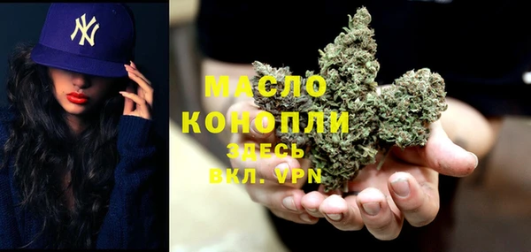 СК Алексин