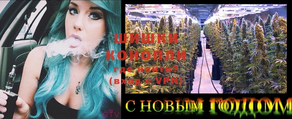 ПСИЛОЦИБИНОВЫЕ ГРИБЫ Алзамай