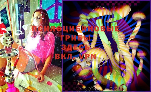 ПСИЛОЦИБИНОВЫЕ ГРИБЫ Алзамай