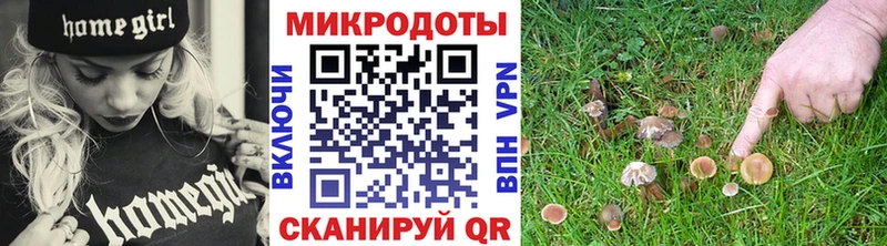 Галлюциногенные грибы MAGIC MUSHROOMS  МЕГА онион  Ревда 